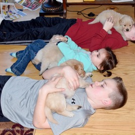 KidsPuppy.jpg